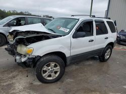 Salvage cars for sale from Copart Apopka, FL: 2005 Ford Escape XLT