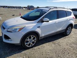 Salvage cars for sale at Antelope, CA auction: 2013 Ford Escape SEL