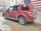 2008 Ford Escape Limited