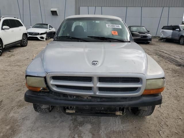 2003 Dodge Dakota SXT