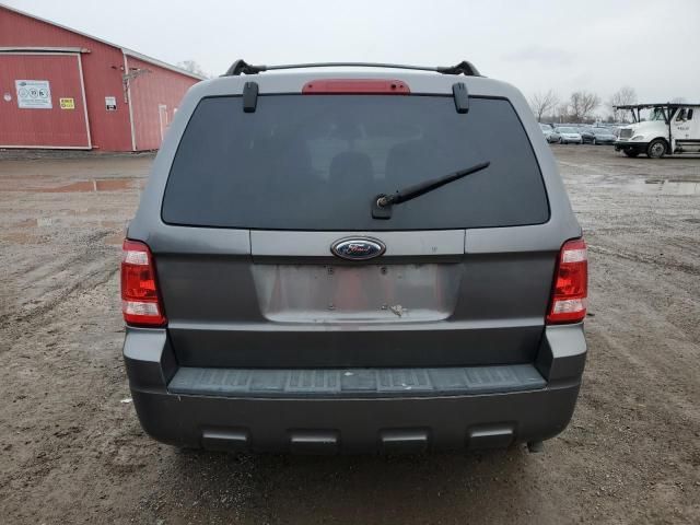 2010 Ford Escape XLT