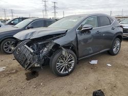 Salvage cars for sale at Elgin, IL auction: 2025 Lexus NX 350 Premium