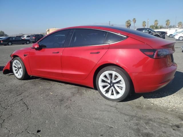 2021 Tesla Model 3