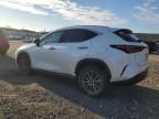 2022 Lexus NX 350