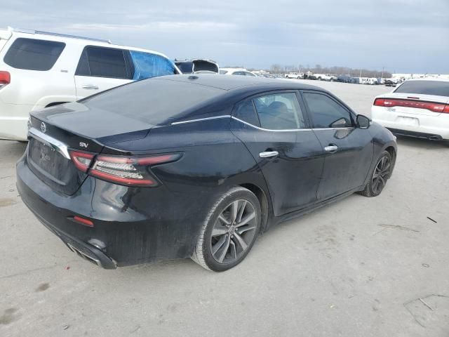 2019 Nissan Maxima S