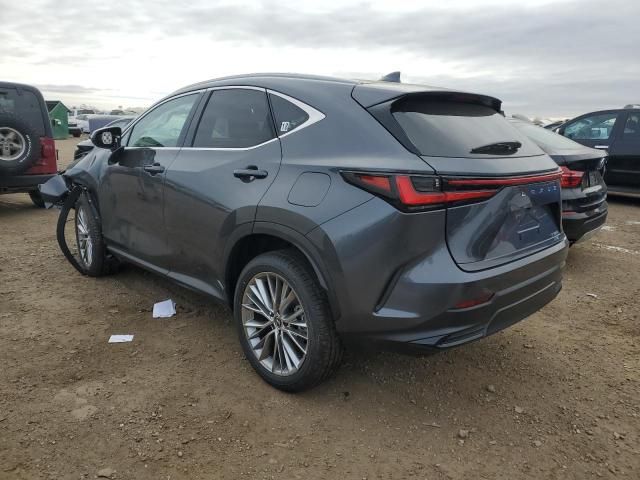 2025 Lexus NX 350 Premium