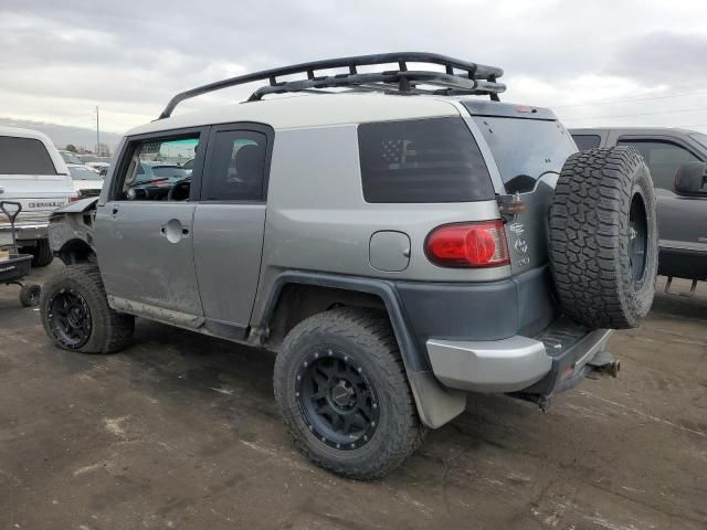 2010 Toyota FJ Cruiser