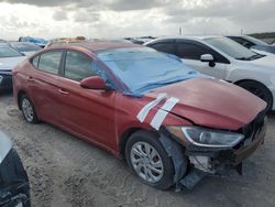 Salvage cars for sale at Homestead, FL auction: 2017 Hyundai Elantra SE