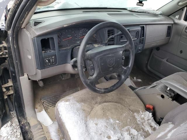 2004 Dodge Dakota SLT