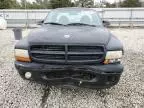 2000 Dodge Dakota