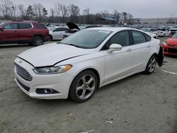 Salvage cars for sale at Spartanburg, SC auction: 2014 Ford Fusion SE