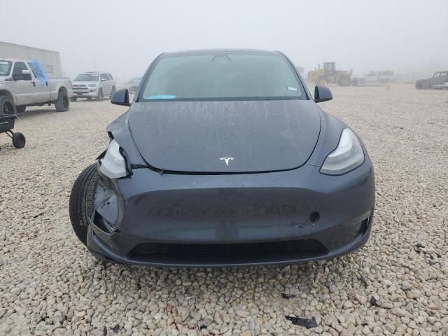 2020 Tesla Model Y