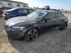 Salvage cars for sale at Kapolei, HI auction: 2024 Audi S5 Premium Plus