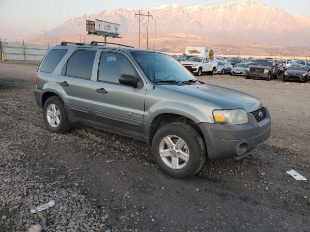 2006 Ford Escape HEV