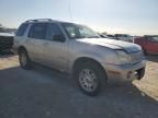 2002 Mercury Mountaineer