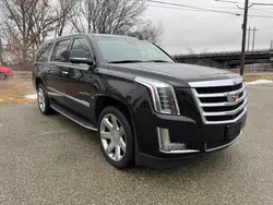 Cadillac salvage cars for sale: 2018 Cadillac Escalade ESV Luxury