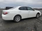 2004 Lexus ES 330