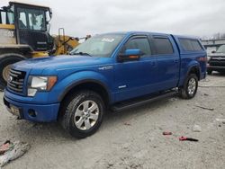 Ford f150 Supercrew salvage cars for sale: 2012 Ford F150 Supercrew