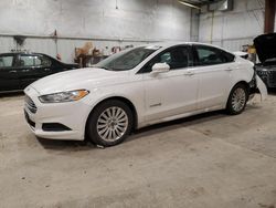 Ford Fusion Vehiculos salvage en venta: 2015 Ford Fusion SE Hybrid