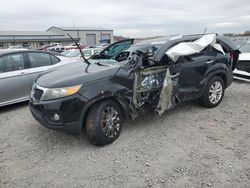 Salvage cars for sale at Earlington, KY auction: 2011 KIA Sorento Base