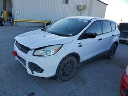 Salvage cars for sale at Tucson, AZ auction: 2014 Ford Escape S