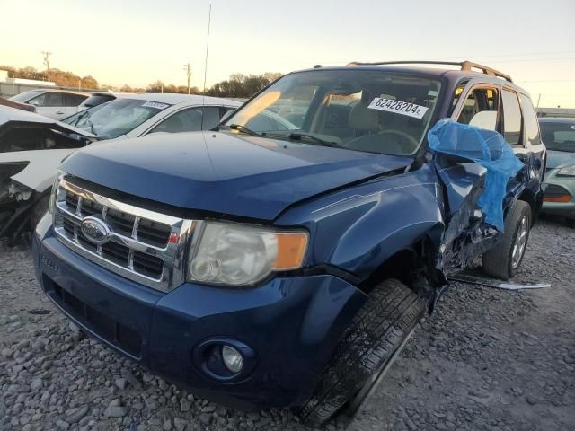 2008 Ford Escape XLT