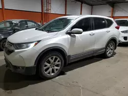 2019 Honda CR-V EX en venta en Rocky View County, AB