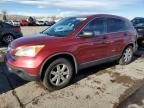 2007 Honda CR-V EX