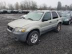 2005 Ford Escape XLT