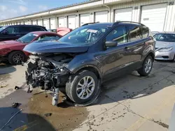 Salvage cars for sale at Louisville, KY auction: 2018 Ford Escape SE