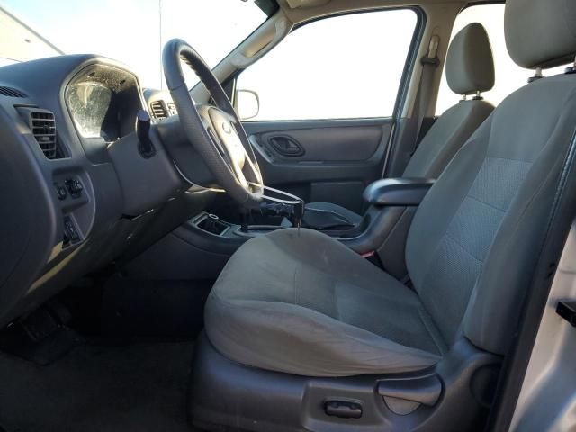 2005 Ford Escape XLT