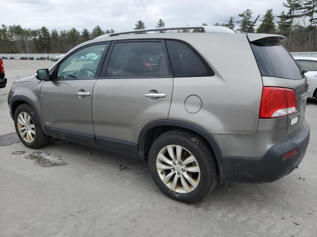 2011 KIA Sorento EX