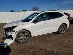 Salvage cars for sale at Portland, MI auction: 2024 Ford Escape ST Line