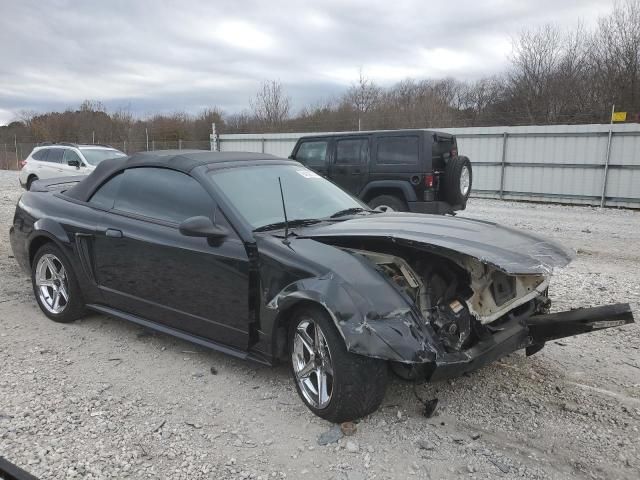 1999 Ford Mustang Cobra SVT