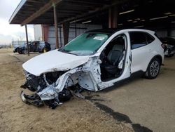 Salvage cars for sale at American Canyon, CA auction: 2022 Ford Escape SEL