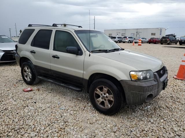 2006 Ford Escape XLT