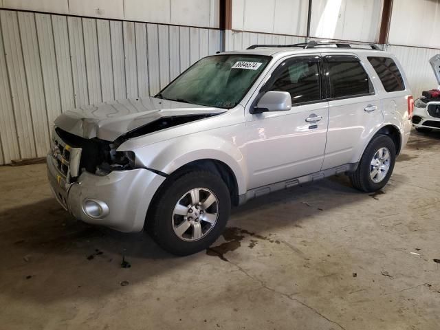 2010 Ford Escape Limited