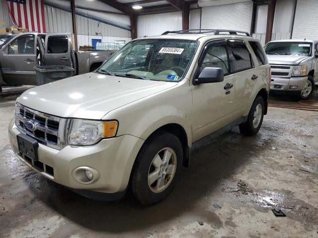 2011 Ford Escape XLT