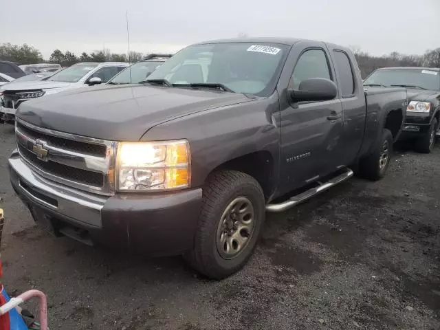 2010 Chevrolet Silverado K1500