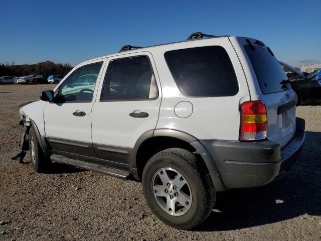 2004 Ford Escape XLT