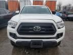 2023 Toyota Tacoma Access Cab