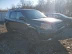 2007 Honda Pilot EXL