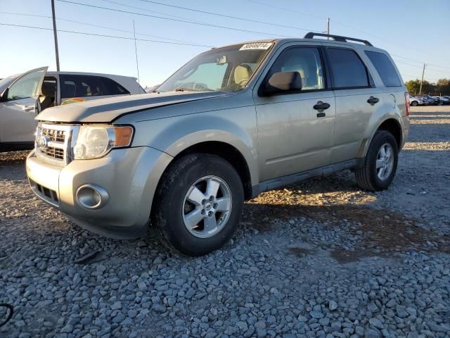 2010 Ford Escape XLT