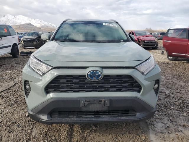 2019 Toyota Rav4 XLE