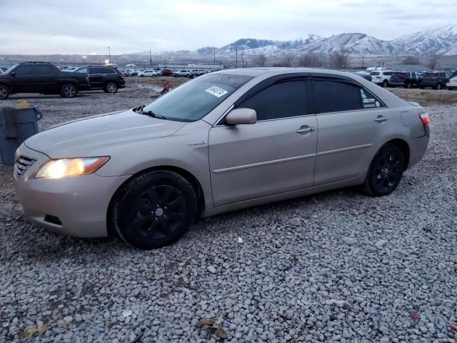 2009 Toyota Camry Hybrid