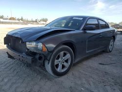 Salvage cars for sale at West Palm Beach, FL auction: 2013 Dodge Charger SE