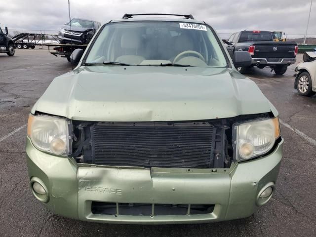 2008 Ford Escape XLT