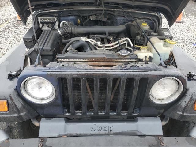 2002 Jeep Wrangler / TJ X