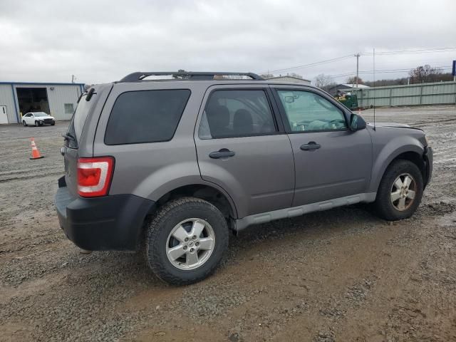 2009 Ford Escape XLT