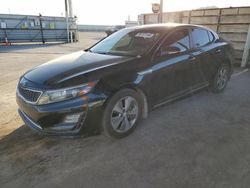 Salvage cars for sale at Anthony, TX auction: 2016 KIA Optima Hybrid